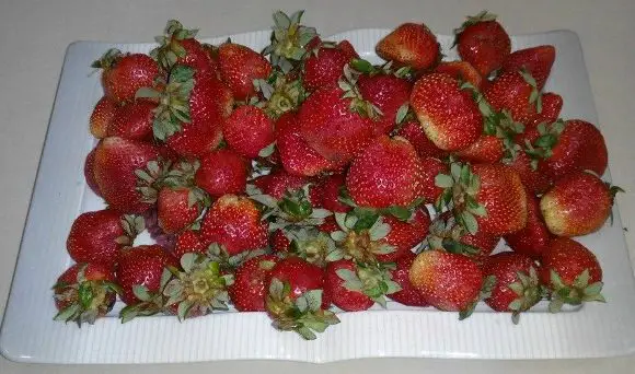 How to freeze strawberry